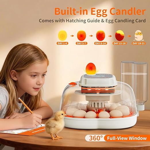APDOE Egg Incubators for Hatching Eggs, Temperature and Humidity Control, Automatic Egg Turning, Egg Candler, External Water Bottle, Air Vent, for Chicken, Duck & Quail Eggs, 12 Eggs + 30 Quail Eggs
