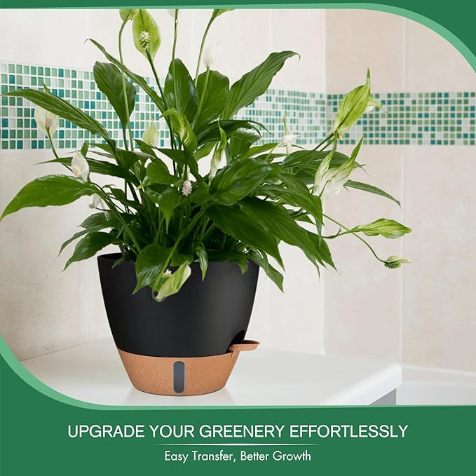 montresor 2 Pack 10 inch Plant Pots, PP Plastic Self Watering Plant Pot with Drainage and Tray for Indoor Outdoor Plants, Water Level Window & Reservoir Flower Pots Decorative Planter