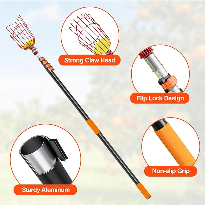 SPECILITE Fruit Picker, 5-20FT Adjustable Telescoping Pole with Basket, Aluminum Apple Picker Tool, Lightweight for Harvesting Orange, Mango, Avocado, Pear, Lemon, Garden Tree Fruit Catcher