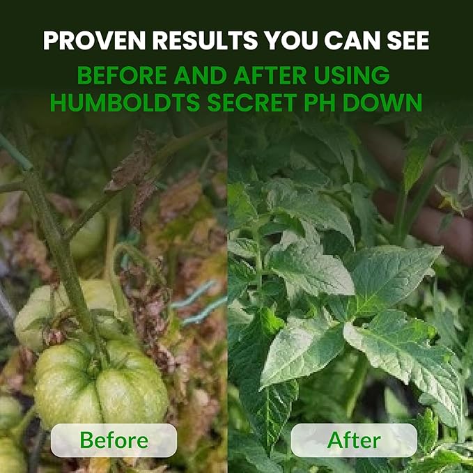 Humboldts Secret Golden Tree Liquid Plant Food | Enhances Growth Indoors or Outdoors | All-in-One Plant Nutrients for Vegetables, Trees, Flowers, Fruits, Roses, Lawns, Tomatoes | 32 Ounce