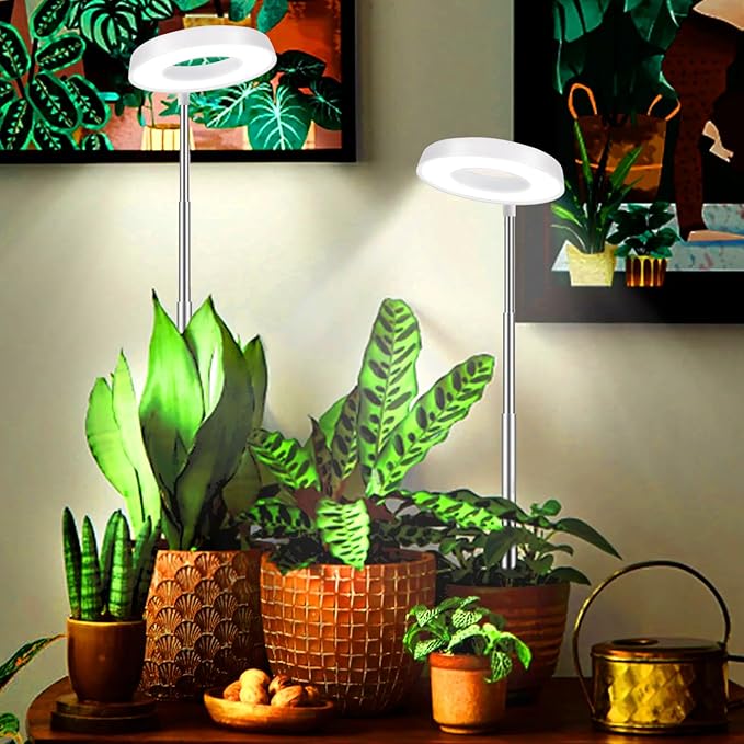 Juhefa Grow Light for Indoor Plants Growing, 4000K Full Spectrum Halo Plant Lamp for Seedlings Succulents Small Mini Plants, 3 Colors Spectrum Changeable & Auto On Off Timer 4/8/12/18Hrs (2 Pack)