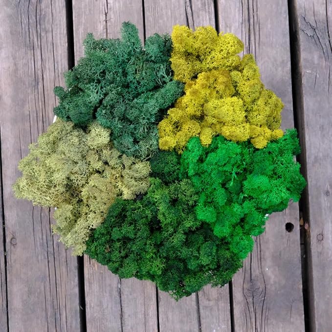 Preserved Reindeer Moss Natural Green DIY Kit Gardenning Art Wall Decor Florist Decor Easter Table Decor Wedding