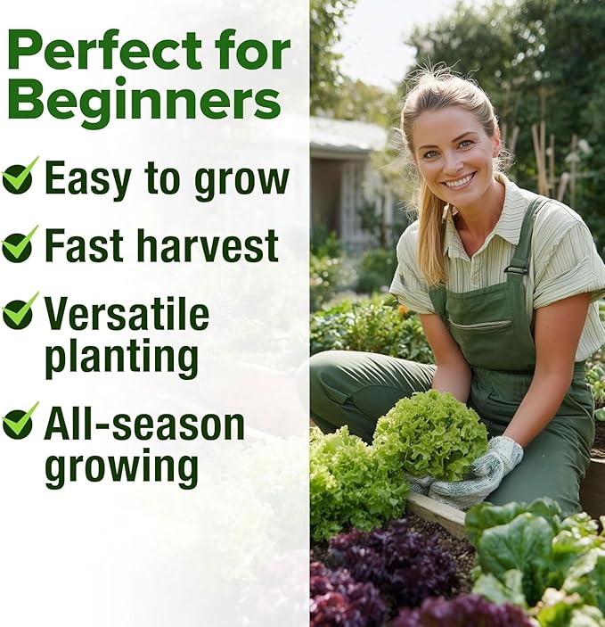 HOME GROWN 20 Variety Lettuce Seeds 21,500+ Bulk Pack Heirloom Non-GMO High Germination, Romaine, Butterhead, Spinach, Kale, Iceberg, Continuous Harvest Indoor Outdoor Hydroponic Garden (20 Varieties)