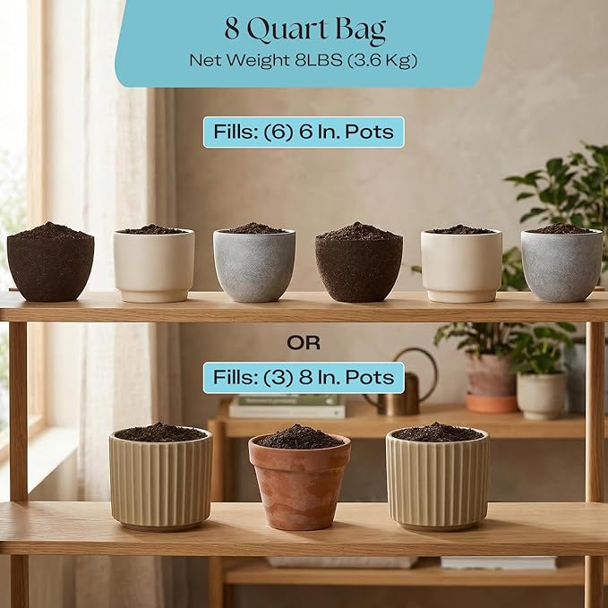 Rosy Soil Indoor Potting Soil for House Plants - Organic Potting Soil Mix for Indoor Plants - Enriched w/Root-Boosting Biochar for Foliage Plants, Flowers, Herbs - Peat Free, Less Prone to Gnats - 8qt