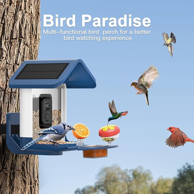 Bird Feeder with Camera Solar Powered : Smart Camera Bird Feeder 2K Live Feed Cam for Outdoor Backyard - Ai Identify Auto Capture Videos Pictures, Gifts for Birdlover Mom Dad, 2.6GHz WiFi