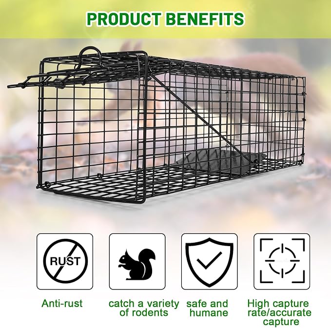 Qualirey 2 Pcs Humane Squirrel Trap Heavy Duty Live Animal Chipmunk Catch and Release Rat Trap for Outdoor Small Animals Mouse Raccoon Stray Cat Rodent Weasels(Black)