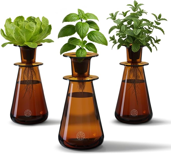 Lettuce Grow Counterstand Hydroponic Garden, Indoor Gardening System Hydroponics Growing System Kit, Herb Garden Planter Indoor Kit Countertop Vase Style No Grow Light