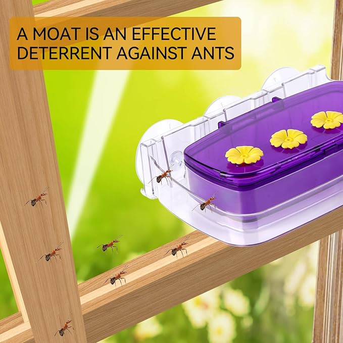 Window Hummingbird Feeder with Strong Suction Cup, Plastic Hummingbird Feeders for Outdoors, Built-in Moat,Easy to Clean and Refil (10oz) (1, Purple)