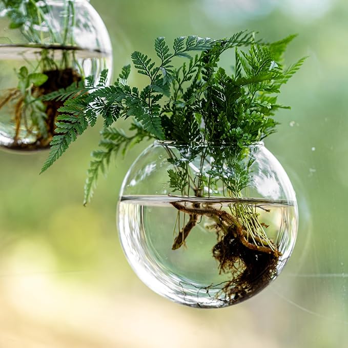 Window Propagation Stations, Oblate Glass Terrariums Planter with Suction Cup Hook, Wall Hanging Planters for Hydroponics Plants, Home, Office, Bathroom, Living Room Decor, Gift for Plant Lovers (4)