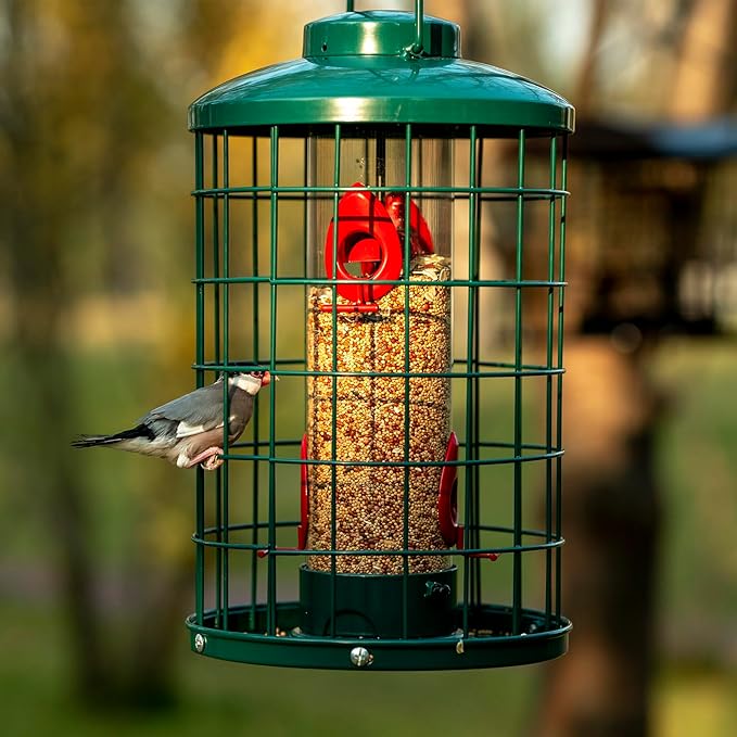 Mosloly Caged Bird Feeder for Wild Birds Outside, Large Squirrel-Proof Heavy-Duty Metal Hanging Tube Bird Feeder, 4 Feeding Ports, 13.2'' High, 3LB Seed Capacity (Green)