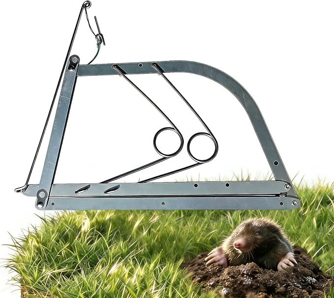 Reusable Outdoor Chipmunk Spring Trap - for Meadow, Woods, Orchard, Gardens & All Outdoor Spaces (2, M-6IN)