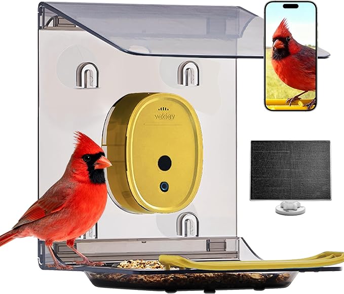Smart Bird Feeder with Camera Solar Powered,2K UHD Video Live Stream,Easy Set Up,AI Bird Species Identification, Auto Capture Videos&5MP Photos,Instant Alerts,Gifts for Bird Lovers