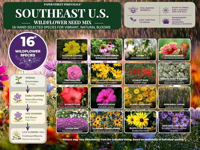 Alabama Bulk Perennial Wildflower Seed Mix 1lb Covers 2,000sq-ft - Attract Pollinators, Multi-Color Blooms - Southeast US Species Plant in Spring/Fall, Earth-Friendly Packaging (1/2 Pound)