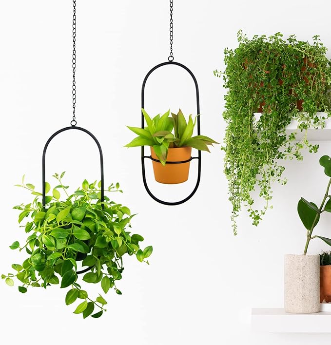 Modern Metal Hanging Planters with 5 Inch Pots - Set of 2 Oval Geometric Plant Hangers - Black Wall and Ceiling Mount Flower Holders for Indoor and Covered Outdoor Houseplants