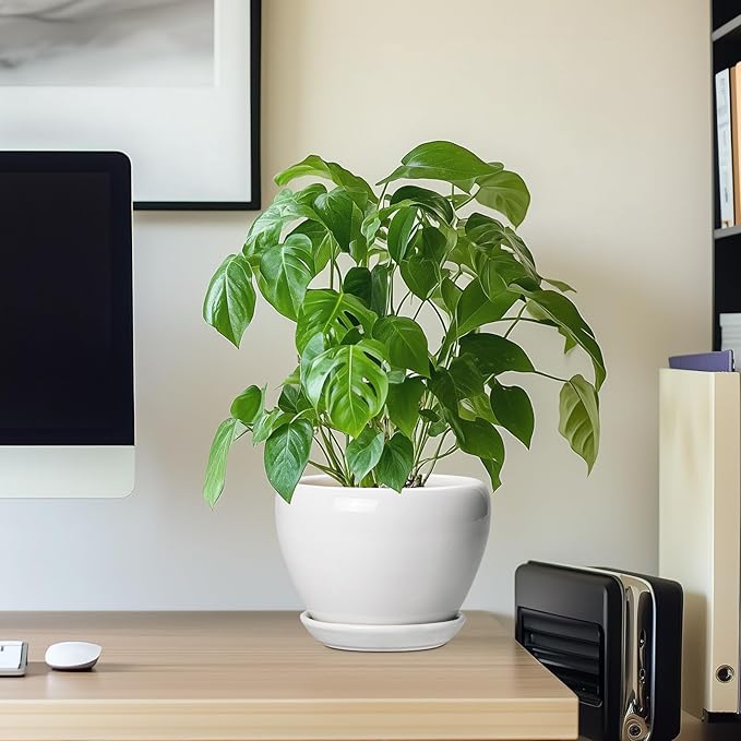 Ceramicfor Ceramic Pot for Plants - 6 Inch Plant Pot for Succulent Plants, Glaze Modern Round Planter with Drainage Hole and Saucer, Gifts for Plant Lovers, Home Office Patio Room Decor, White