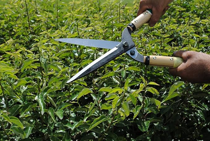 Okatsune Precision Hedge Shears 6" Blade, 20" total length