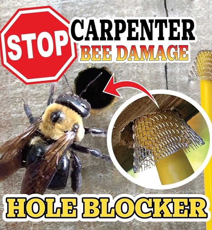 Carpenter Bee Traps for Outside – BB PRO® (200 Count) Trap & Repellent Kit for Wood, No Spray, Multi-Action Hole Filler Plugs, Prevent Carpenter Bees, Wasp & Termite Damage – USA Deterrent Traps