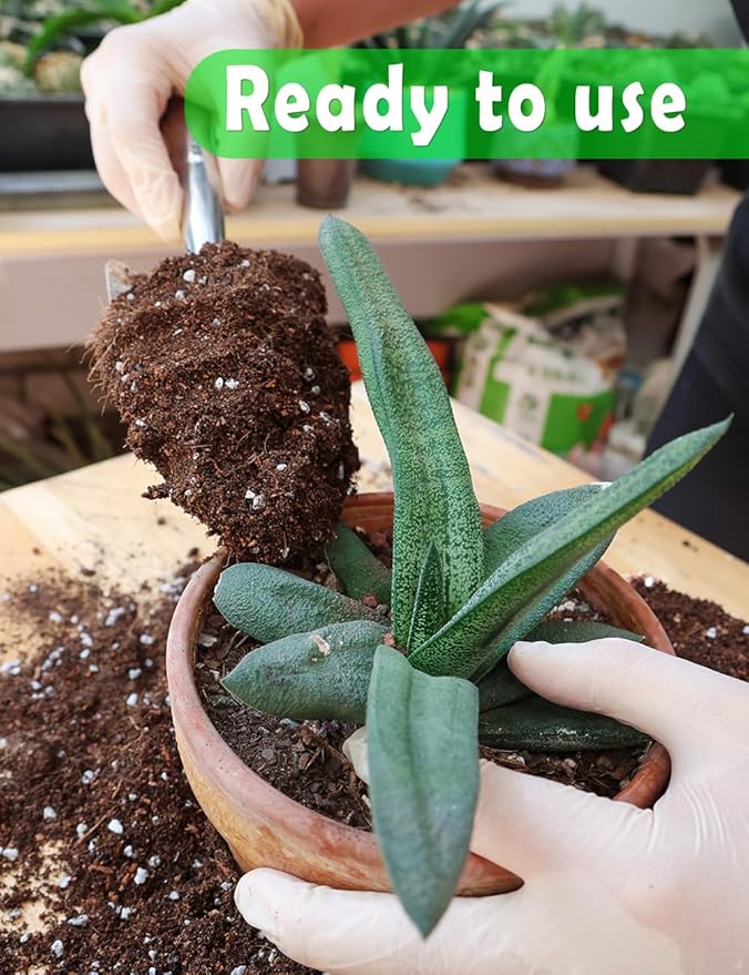 TOYPOPOR Potting Soil for All Indoor Houseplants, Contains Perlite, Peat Moss, Coco Coir and Rice Charcoal, Well Draining Potting Mix Light, Aerated Texture for Healthy Plant Roots and Fast Growth 1qt