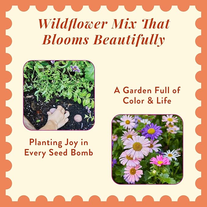 Modern Sprout Wildflower Seed Ball Poop - Eco-Friendly Gift - Non-GMO Hand-Rolled Clay Seed Bombs w/Wildflower Seeds - Plop Plant & Grow Gardening Gift Set for Kids & Adults - (Easter Plop-Pack of 3)
