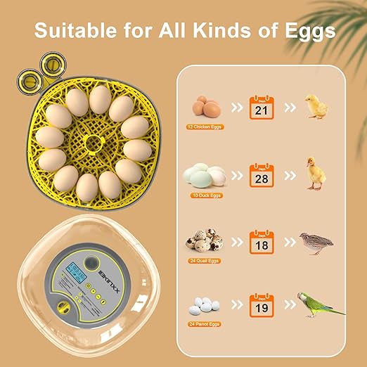 Incubator for Hatching Eggs-12 Egg Capacity, 2026 Newly Upgraded Automatic Egg Turner, Temperature & Humidity Control, 360° Viewing for Chicken, Duck and Quail Eggs (Grey)