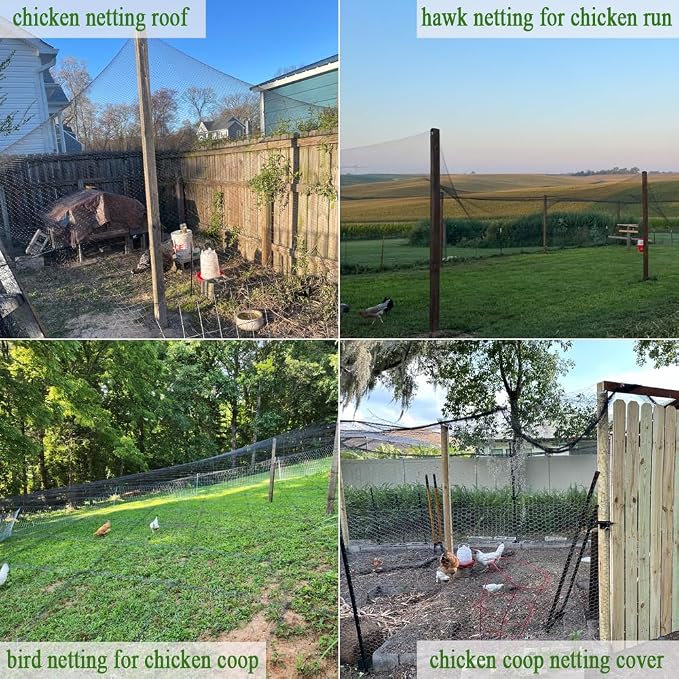 Bird Netting for Chicken Coop 25x25 Ft, 1/2" Mesh, Strong Woven Poultry Netting Roof Cover for Chicken Run, Heavy Duty Bird Net for Fruit Trees, Blueberry, Vegetables, Garden Protection