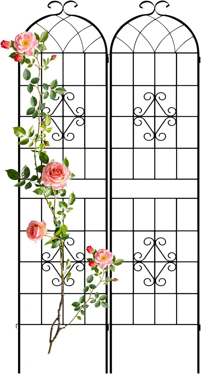 LZRS 2 Pack 78.7x20in Rustic Iron Arch Decoration Garden Trellis with Black Metal Coating – Perfect for Supporting Climbing Plants Outdoor, Roses, Vines, Flowers, and Vegetables.