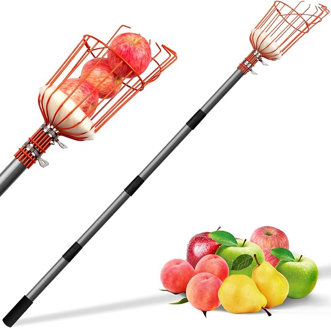 Walensee 5.5FT Fruit Picker with Basket, 35-65 Inch Compact Fruit Picker Pole, Lightweight Cherry Picker Tool for Pear, Mango, Apple, Orange, Lemon, Avocado Harvesting