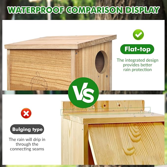 Squirrel Family House Pine Nesting Wooden Box for Shelter Breeding Living Residence with Vanish Finished (Medium)
