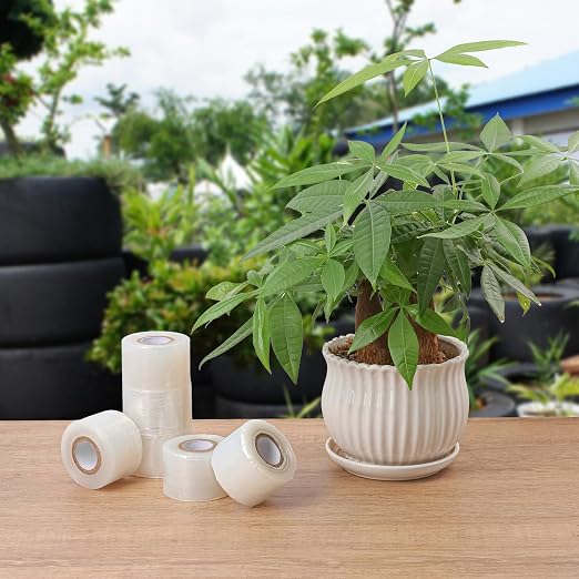 36 Pack 1.6 Inch Plants Grafting Tape, Grafting Film for Plant, Stretchable Garden Plants Repair Budding Tapes for Fruit Trees, Flower, Persimmon Trees, Vegetable
