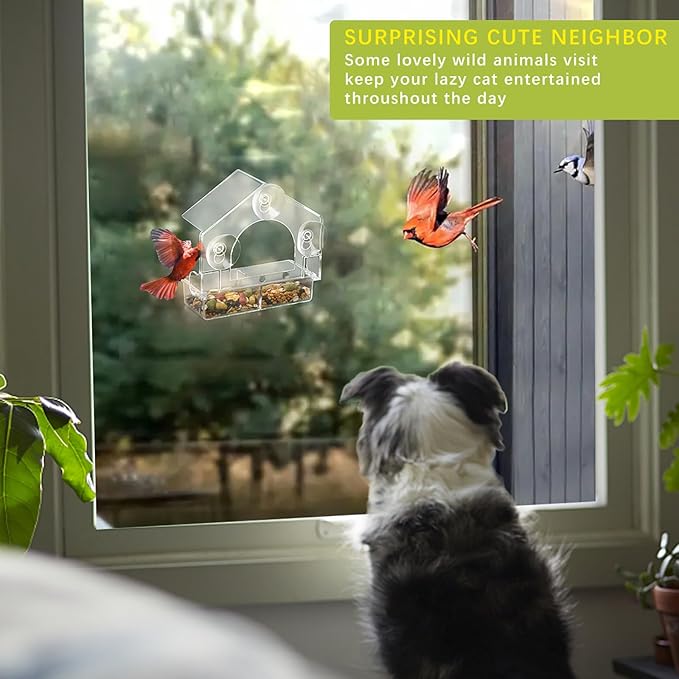 2PCS Window Bird Feeder with 4 Extra Strong Suction Cups, Clear Birdfeeders Bird House for Outdoors Window Viewing Outside, Removable Tray Birdhouse