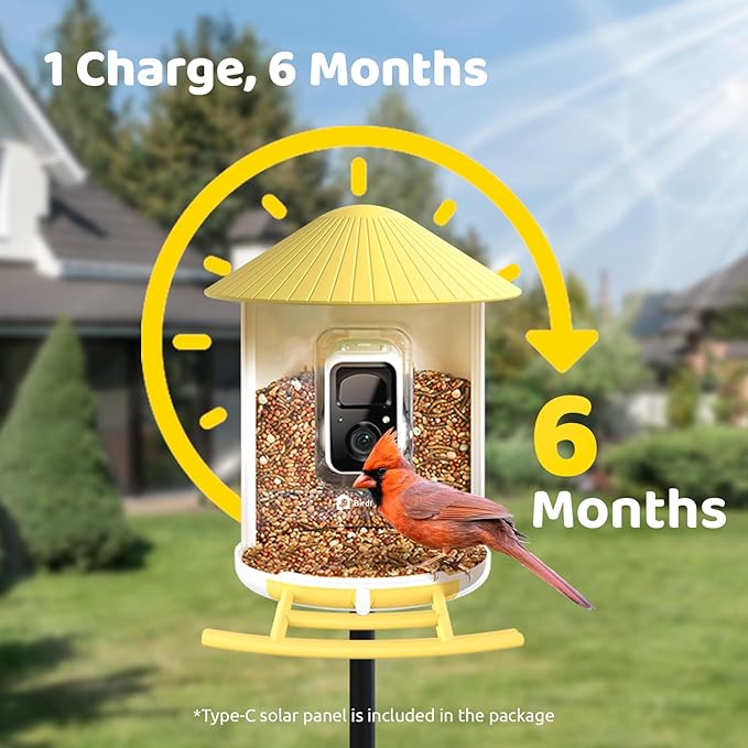 NETVUE by Birdfy Smart Bird Feeder with 2K AI Camera Solar Powered, 3MP Wireless Wildbird Watching, Live Stream & Night Vision, Auto-Capture & Notify, Collection & Cloud Storage (AI by Subscription)