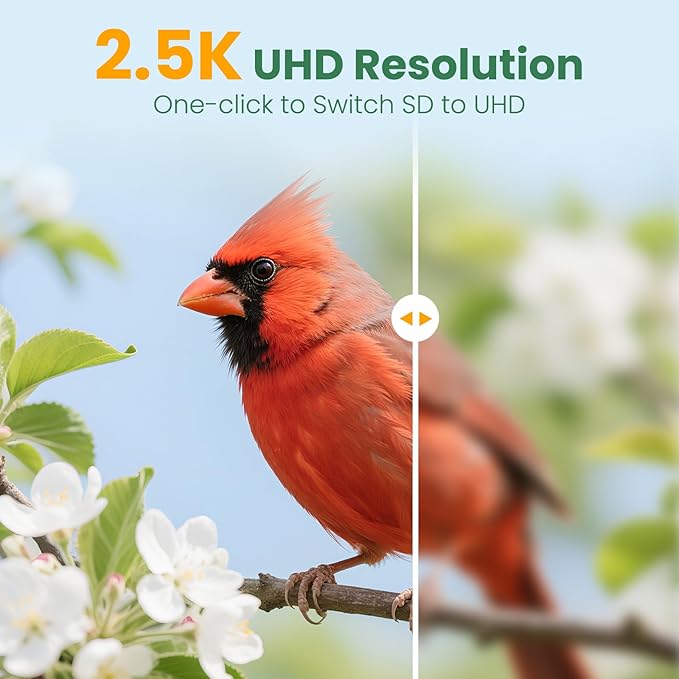 Smart Bird Feeder Camera with Solar Panel (Bamboo), 2.5K UHD AI Identification, Real-time Videos & Pictures, Wireless Solar Powered Outdoor, Ideal Garden Decor & Bird Watcher, Gift for Mom