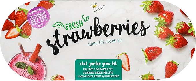 BUZZY Seeds 2-Pack Windowsill Grow Kits, Strawberry and Organic Herb Gardening Set with Basil, Cilantro, Chives, Non-GMO Seeds, Growing Medium and Planters, Housewarming Gift Idea