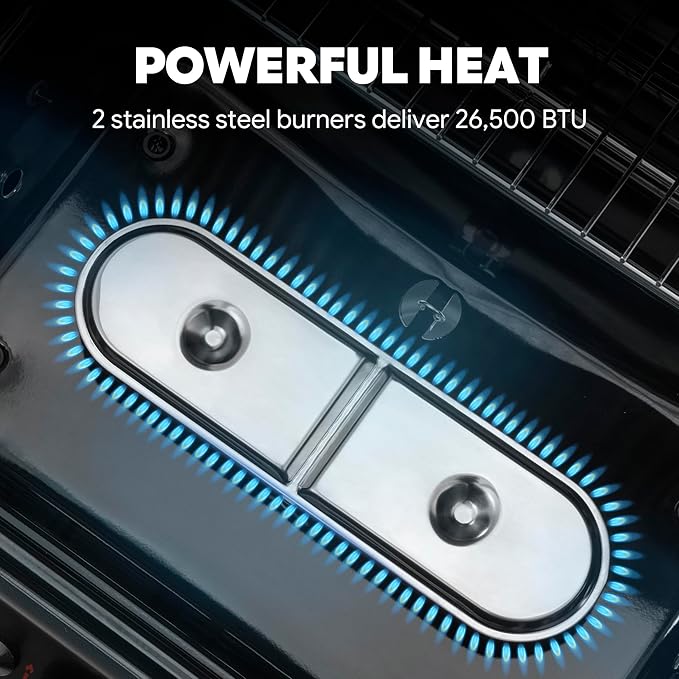 Feasto 2 Burner Propane Gas Grill with 26,500 BTUs Output, Porcelain-Enamel Main Body and Lid, Propane BBQ Grill with Warming Rack & Side Tables for Patio, Backyard, Poolside Gatherings