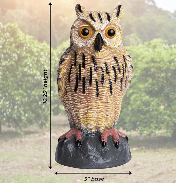 Owl Decoy | Plastic Owls to Scare Birds Away | Owl Statue for Garden & Outdoors - Pack of 3