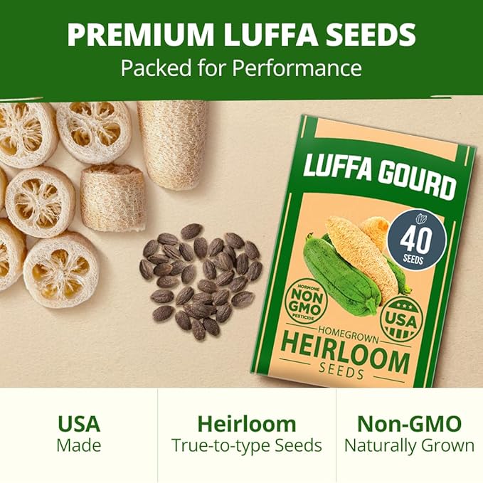 HOME GROWN Luffa Seeds 40 Heirloom Non-GMO Loofah Gourd Seeds for Planting, High Germination, Grow Your Own Natural Bath Sponges, Edible Vining Vegetable Garden, Harvest Young Gourd (Luffa aegyptiaca)