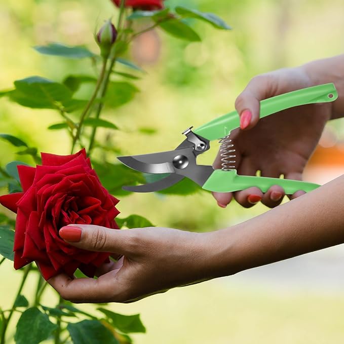 Amylove 24 Pcs Garden Flower Shears Pruning Scissors Valentine Heavy Duty Plant Scissor Garden Clippers Hand Bypass Pruner for Gardening Plants Hedge Tree Cutting Miniature Bonsai Modeling(Multicolor)