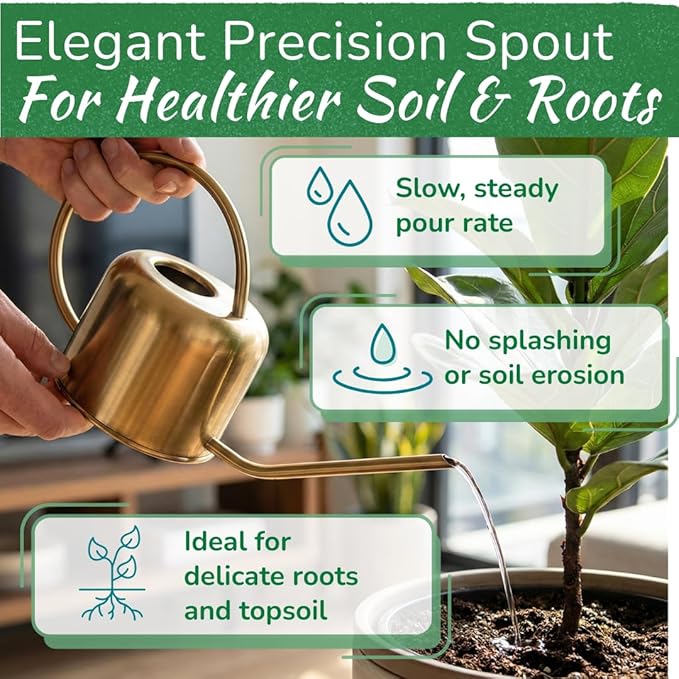 Stainless Steel Watering Can for Houseplants by Houseplant Resource Center | 1L Capacity for Indoor/Outdoor Plants in Brushed Gold