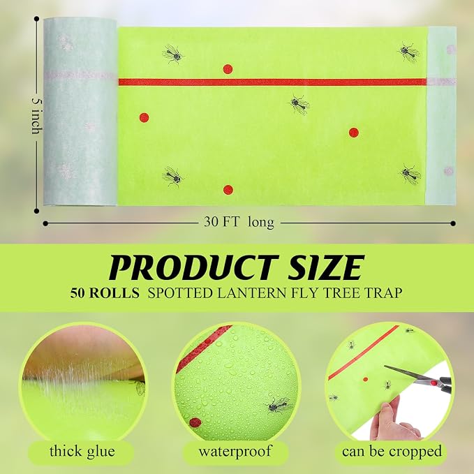 Qualirey 50 Rolls Spotted Lantern Fly Traps 30 Feet Each Roll Fly Tree Trap Sticky Strips Outdoor Fruit Glue Strips Disposable Tape Indoor Paper Sheets for Protecting Trees (Green)