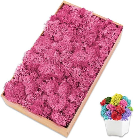 Preserved Moss for Crafts Pink Reindeer Moss for Potted Plants, Craft Decorative Moss Decor for Wall Art, Dried Moss(7oz, Pink)