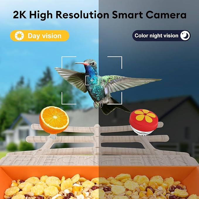 Bird Feeder with Camera Solar Powered, Smart Birds Feeder for Outside, AI Bird Identification Auto Capture Videos Pictures, 2K Live Feed Cam for Backyard, Ideal Gift for Birds Lover