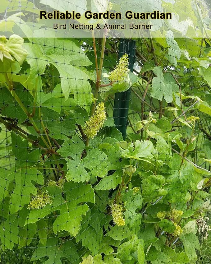 KLEWEE Bird Netting, 7.5 x 25 FT Heavy Plastic Duty Garden Netting to Protect Fruit Trees, Plants and Vegetables Against Birds, Deer, Squirrels and Other Animals