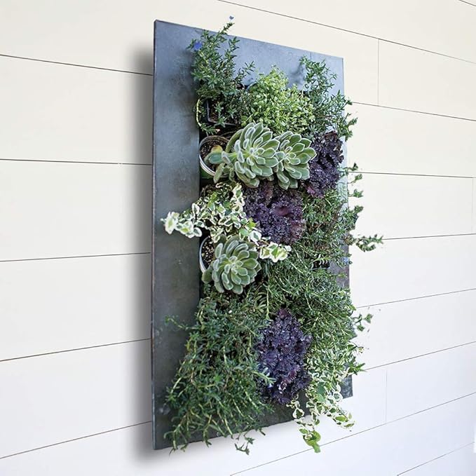 Modern Home Living Wall Galvanized Steel/Zinc Succulent Planter, Wall Mounted Garden Pocket Planter (18 Pocket, Black Zinc)