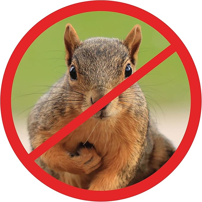 Scram, Squirrel by Slinky, Squirrel-Proof Bird Feeder Accessory that Guards Bird Seed, Kids Toys for Ages 5 Up by Just Play