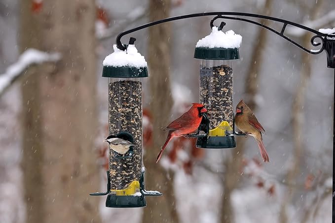 Brome Tube100 Wild Bird Feeder, Metal – 2 Seed Ports, 1.7 lb Capacity, Extra-Wide Perches, Easy to Fill & Clean, Pole-Mountable, Seed Tray Available