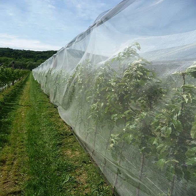 Garden Netting, Plant Covers 10x33Ft Net Ultra Fine Mesh Protection Netting for Vegetable Plants Fruits Flowers Crops Greenhouse Row Cover Raised Bed Barrier Screen Protection Net Cover