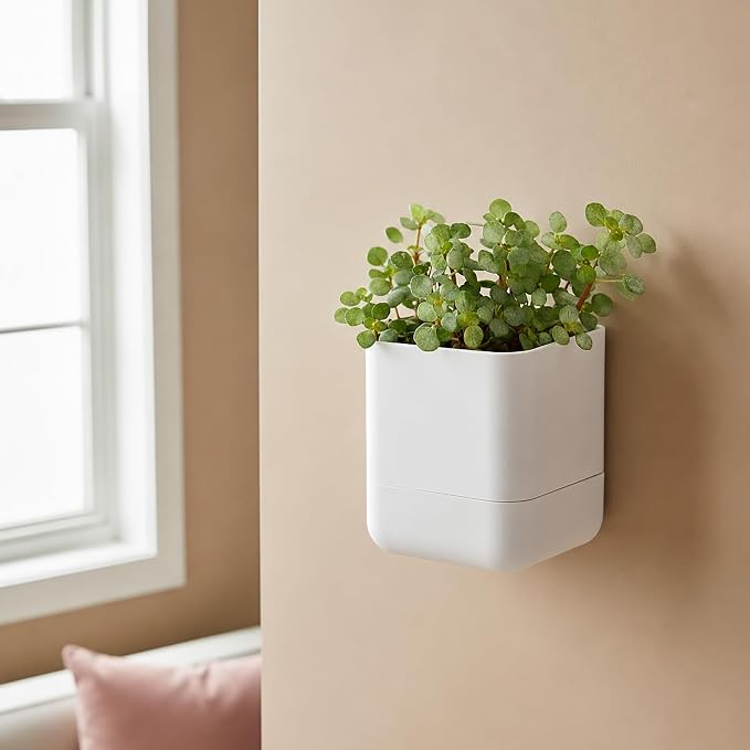 Phoenix Vine 4.5 Inch Wall Mounted Self-Watering Planter Pot for Indoor Houseplants and Herbs | Hanging Planter for Window Sills, Bathroom Walls, Home & Office Décor, White, Set of 4, 01-B-D-4