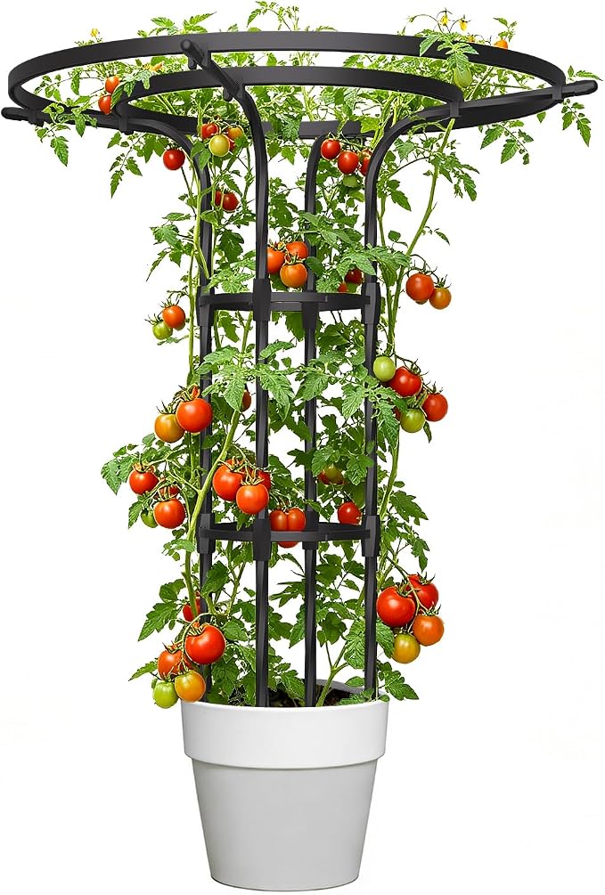 Garden Trellis for Climbing Plants Outdoor,43 Inch Umbrella Trellis for Potted Plants,Plant Trellis Support for Potted Plants Climbing Vine Rose Clematis Vegetable Trellis