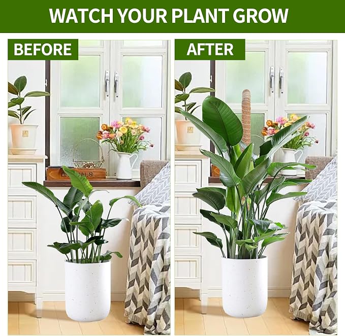 3 Pack Moss Pole,30 Inch Bendable Moss Pole for Plants Monstera, Moss Poles for Climbing Plants Indoor, Coir Plant Pole Sticks Support Stakes for Potted Plant, Pothos, Philodendron
