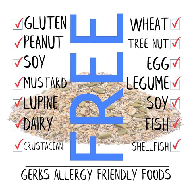 Gerbs Super 7 Seed Snack Mix 1 lb. | Raw, No Artificial Additives, Resealable Bag | Crunchy Pumpkin, Sunflower, Brown & Golden Flax, Black & White Chia, Hemp | Top 14 Allergen-Free